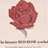 The Story of the Red Rose