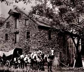 The First Eshelman Plant